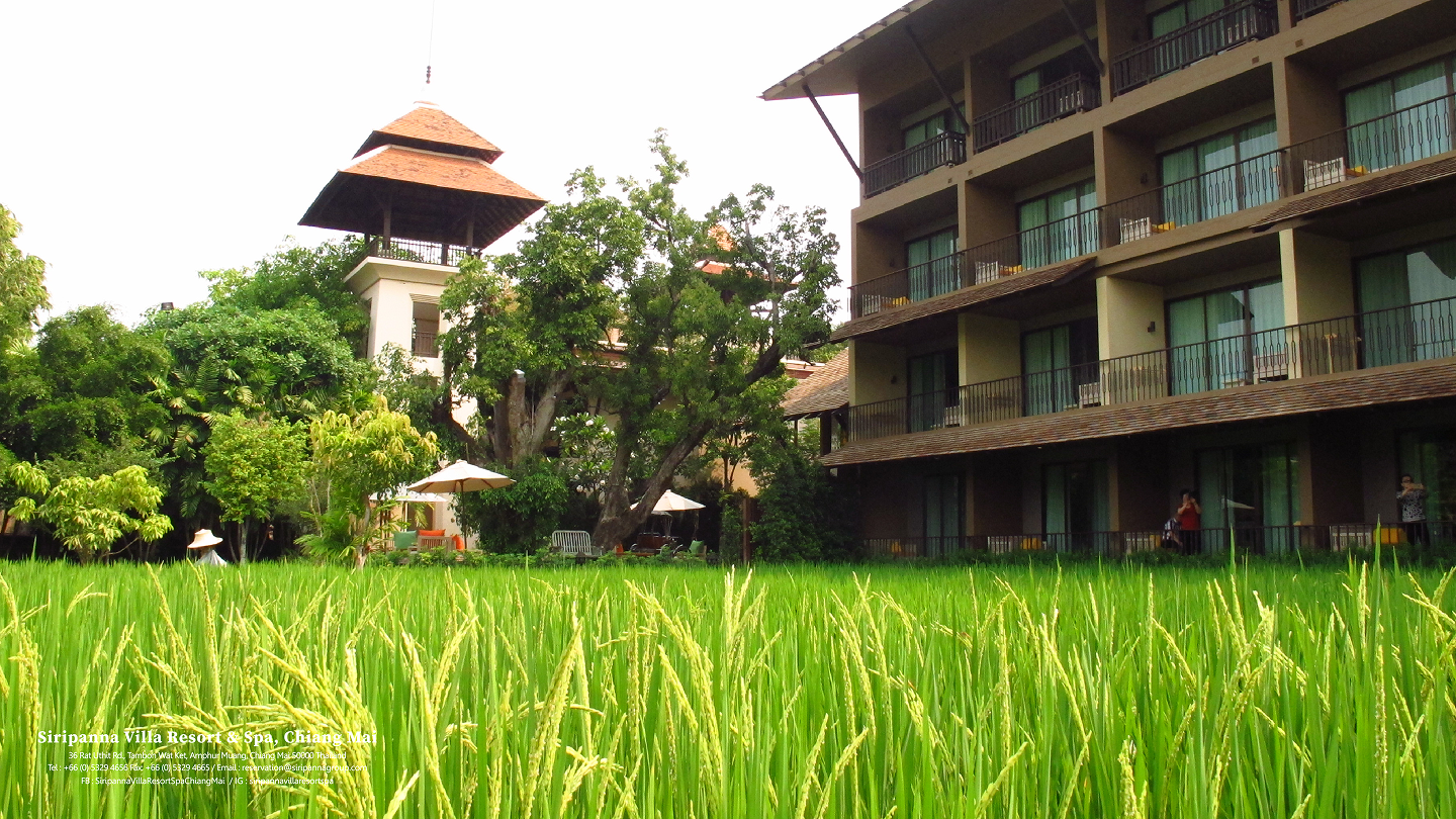 Siripanna Villa Resort & Spa Chiang Mai